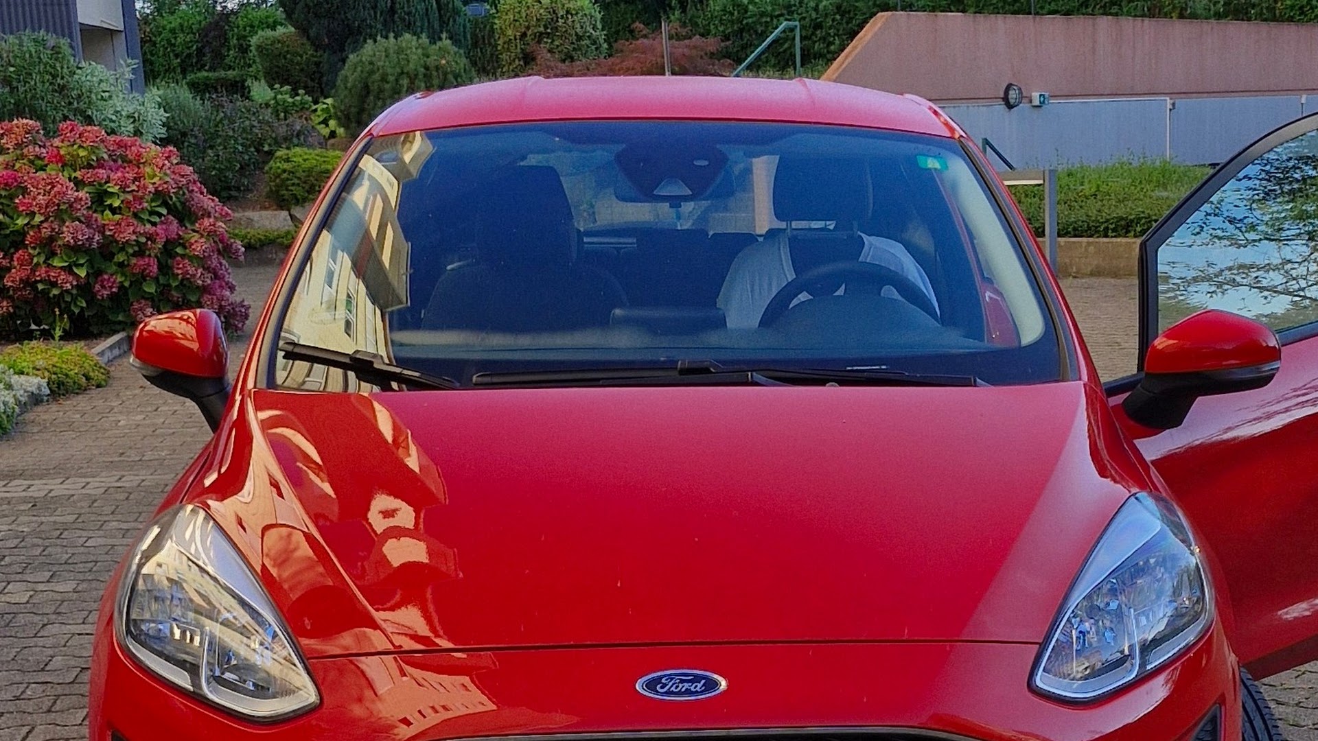review image