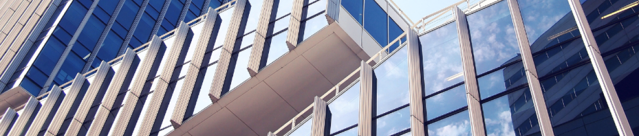 Max Mustermann GmbH cover